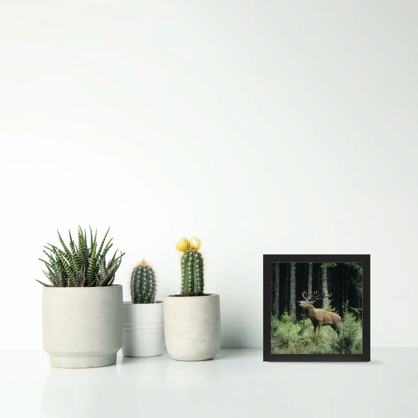 5x5" Photo Frame - Set of 3